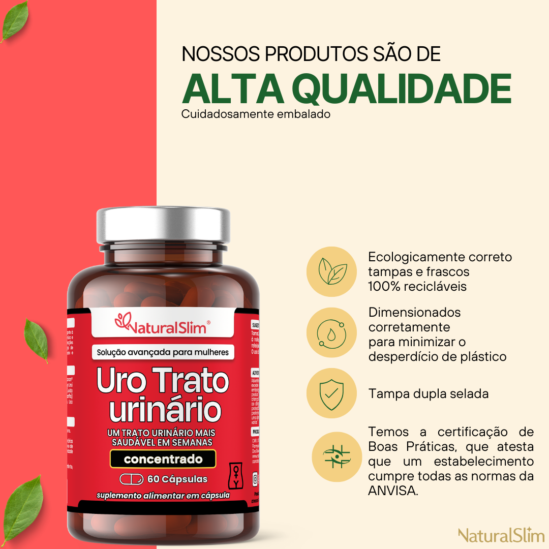 Uro Trato Urinario